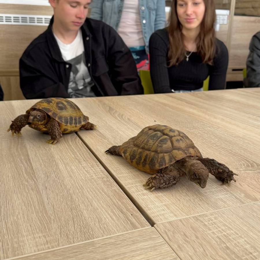 Setkání se světem plazů