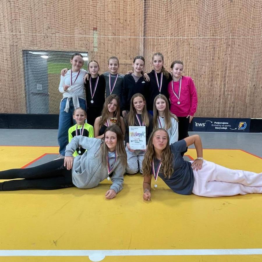 Okresní finále ve florbale