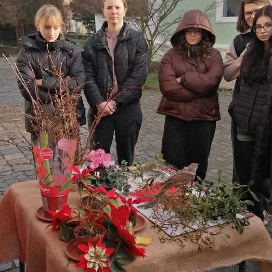 Advent v Botanické zahradě v Teplicích