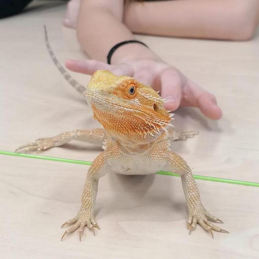 Beseda v  DDM Teplice